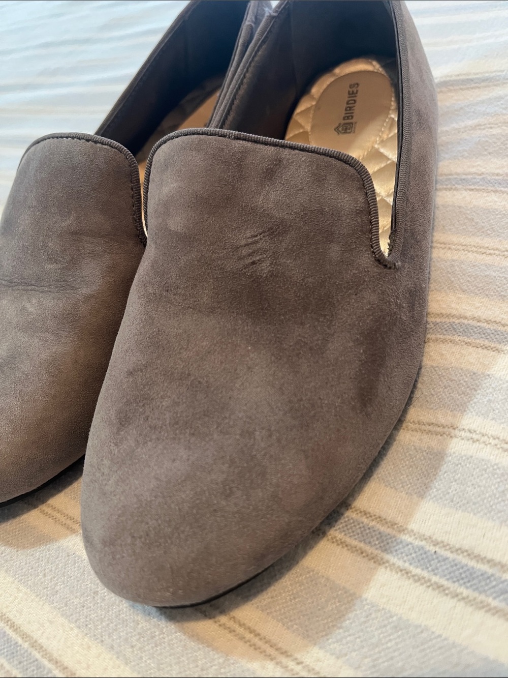 Grey Suede Birdies Slip On Shoes - Picture 2 of 8